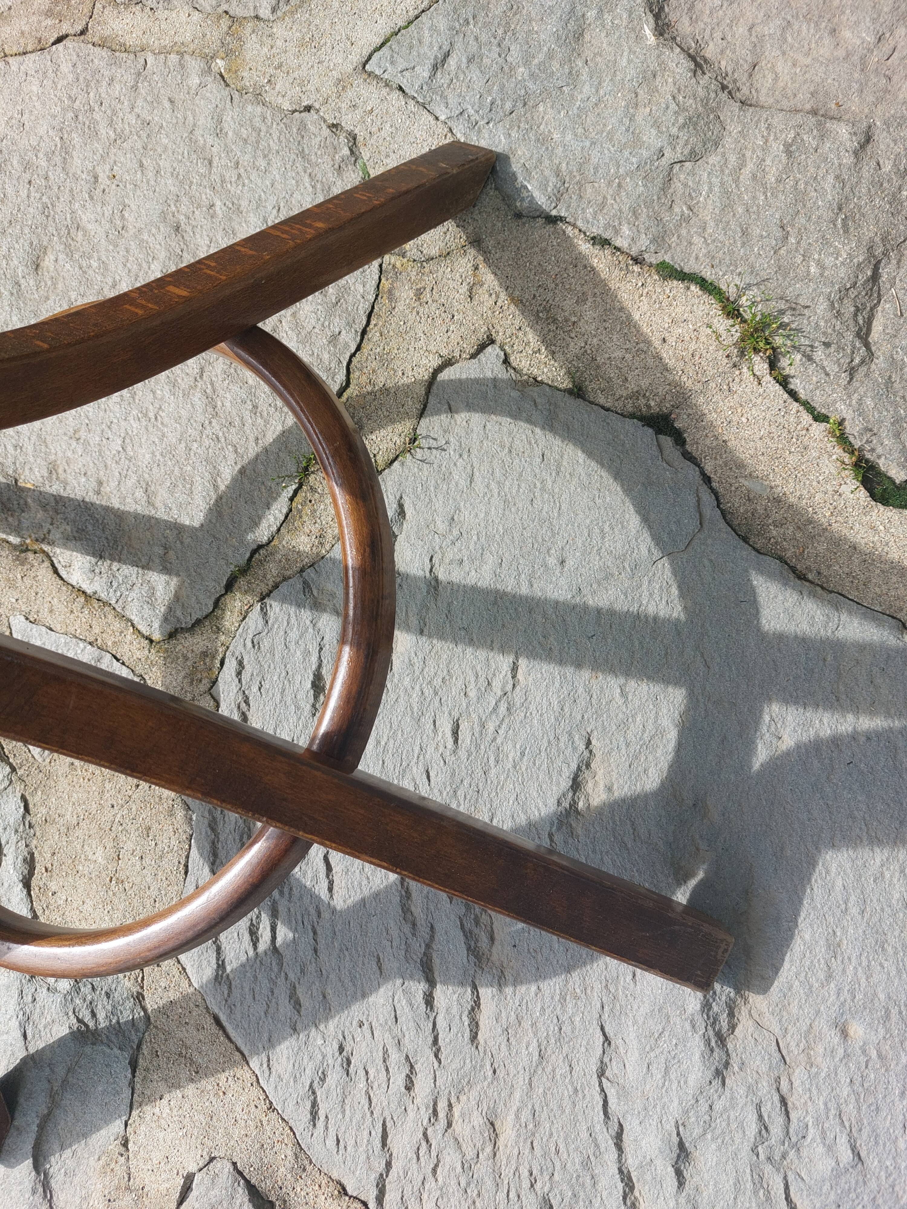 dark-coloured wooden coat rack parrot