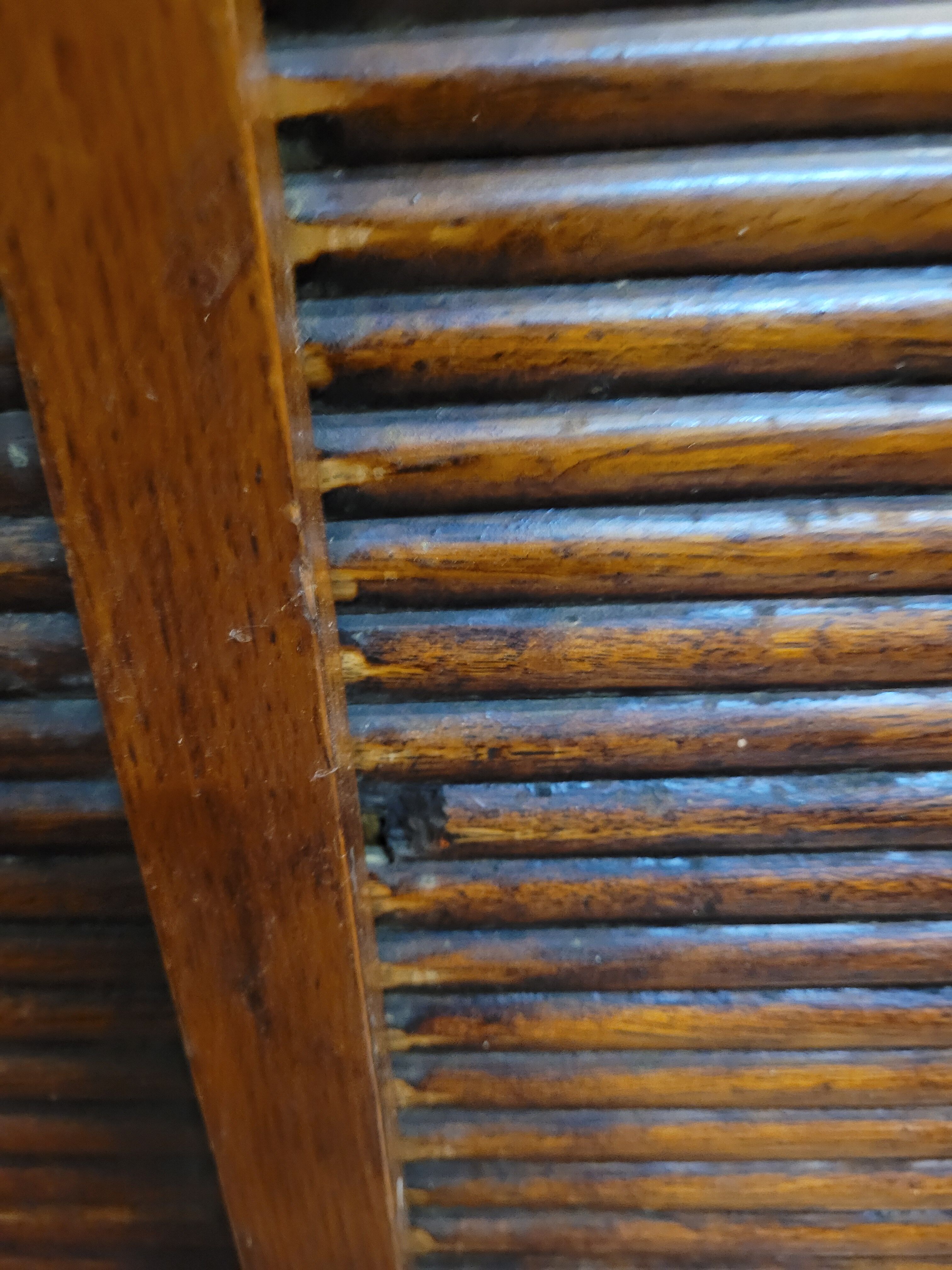 Old oak triple curtain binder