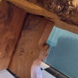 Table basse en loupe d'orme vintage 60