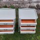 Pair of Louis XV style bedside tables with 3 drawers, Luxembourg green