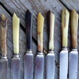 Set of horn handle knives