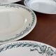 set of 10 old Longchamp flat plates, ironstone, Belleville