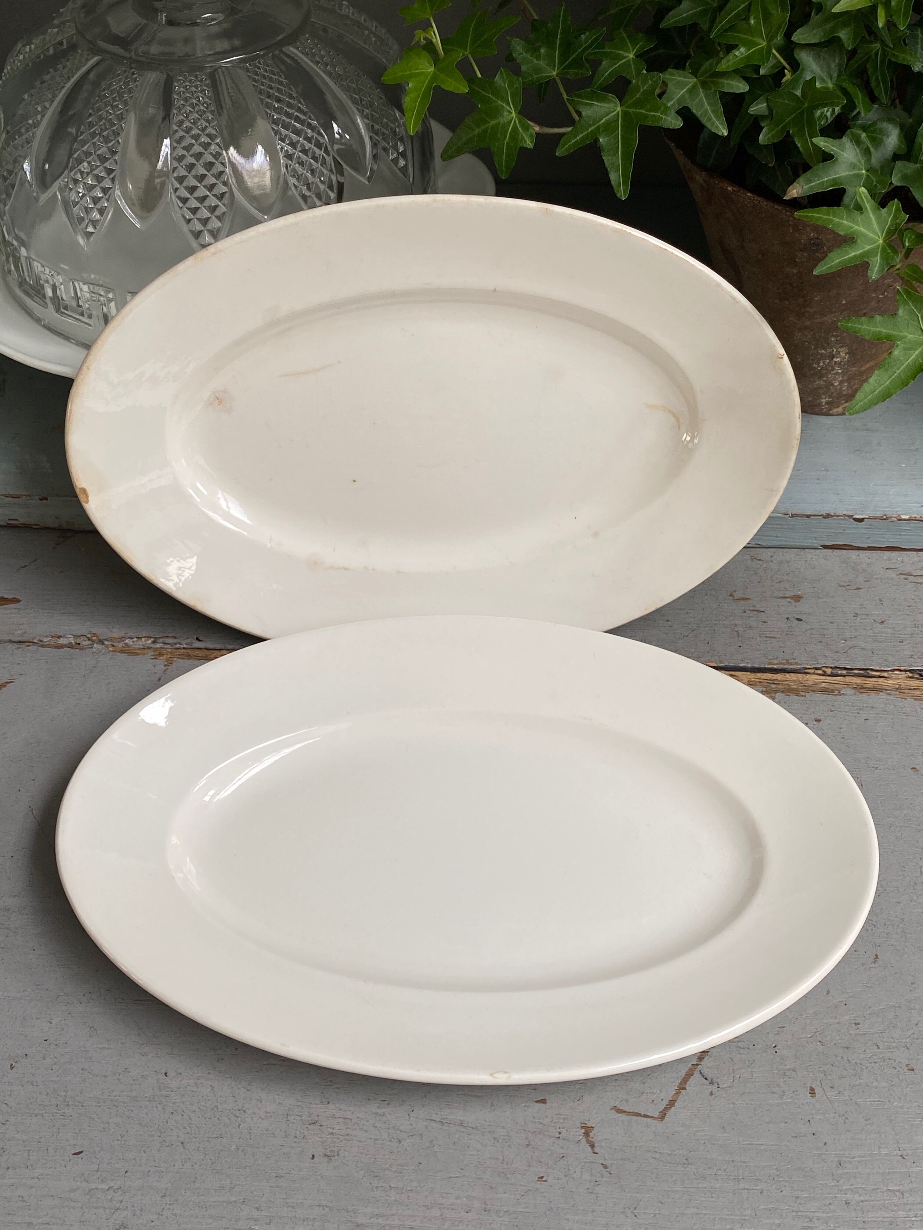 Pair of old dishes digoin