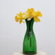 Glass carafe or vase with medallion