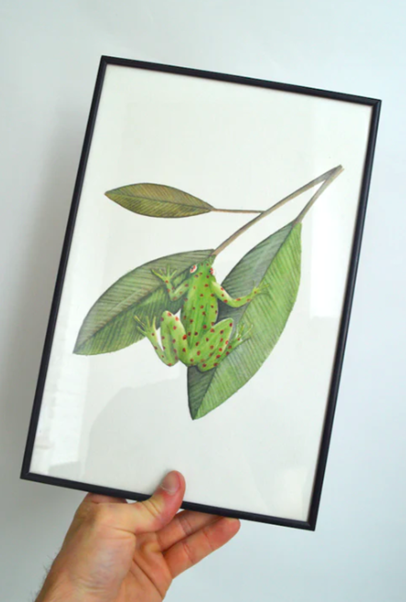 Illustration