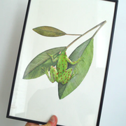 Illustration