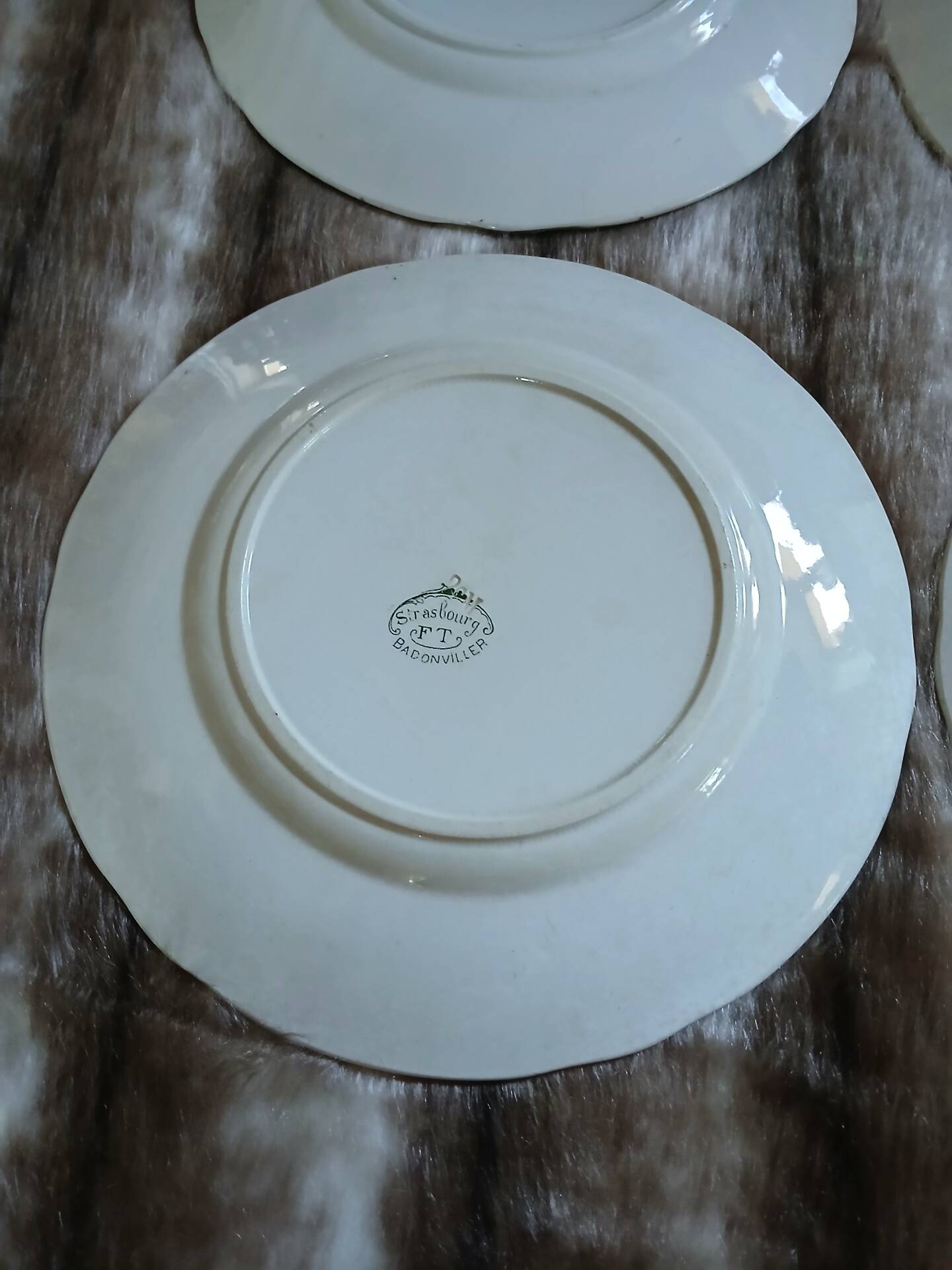 9 assiettes anciennes en Terre de fer "Strasbourg "