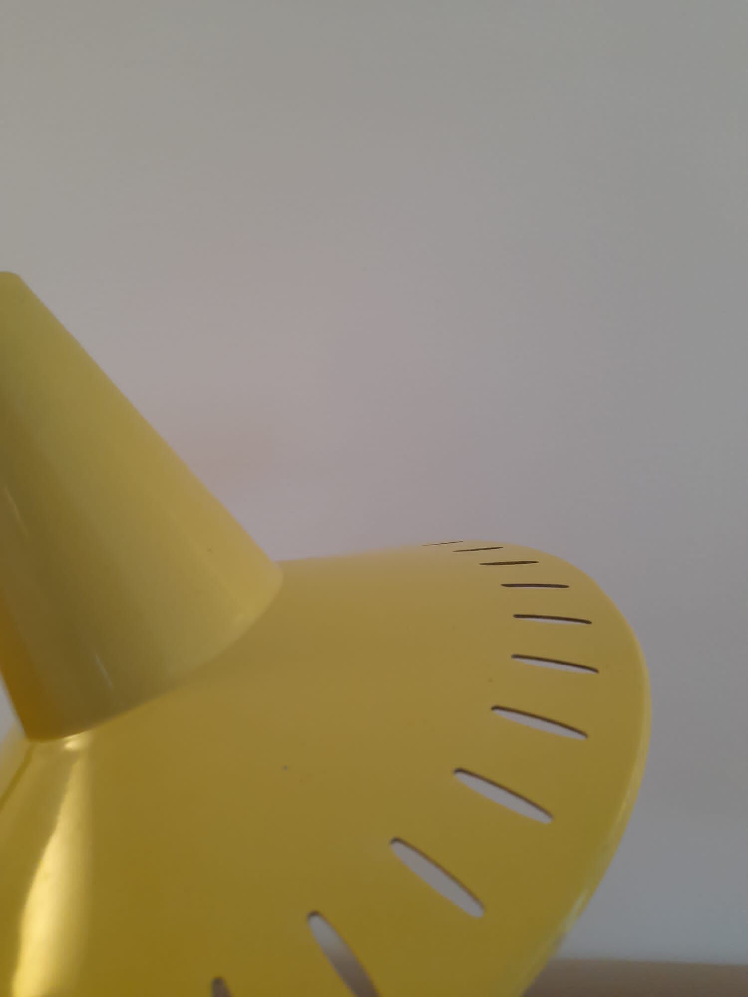 Dutch desk lamp design J.Hoogervorst for Anvia 19600