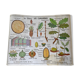 School poster