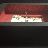 Entomology framework insect pyrops oculatus