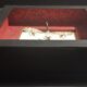 Entomology framework insect pyrops oculatus