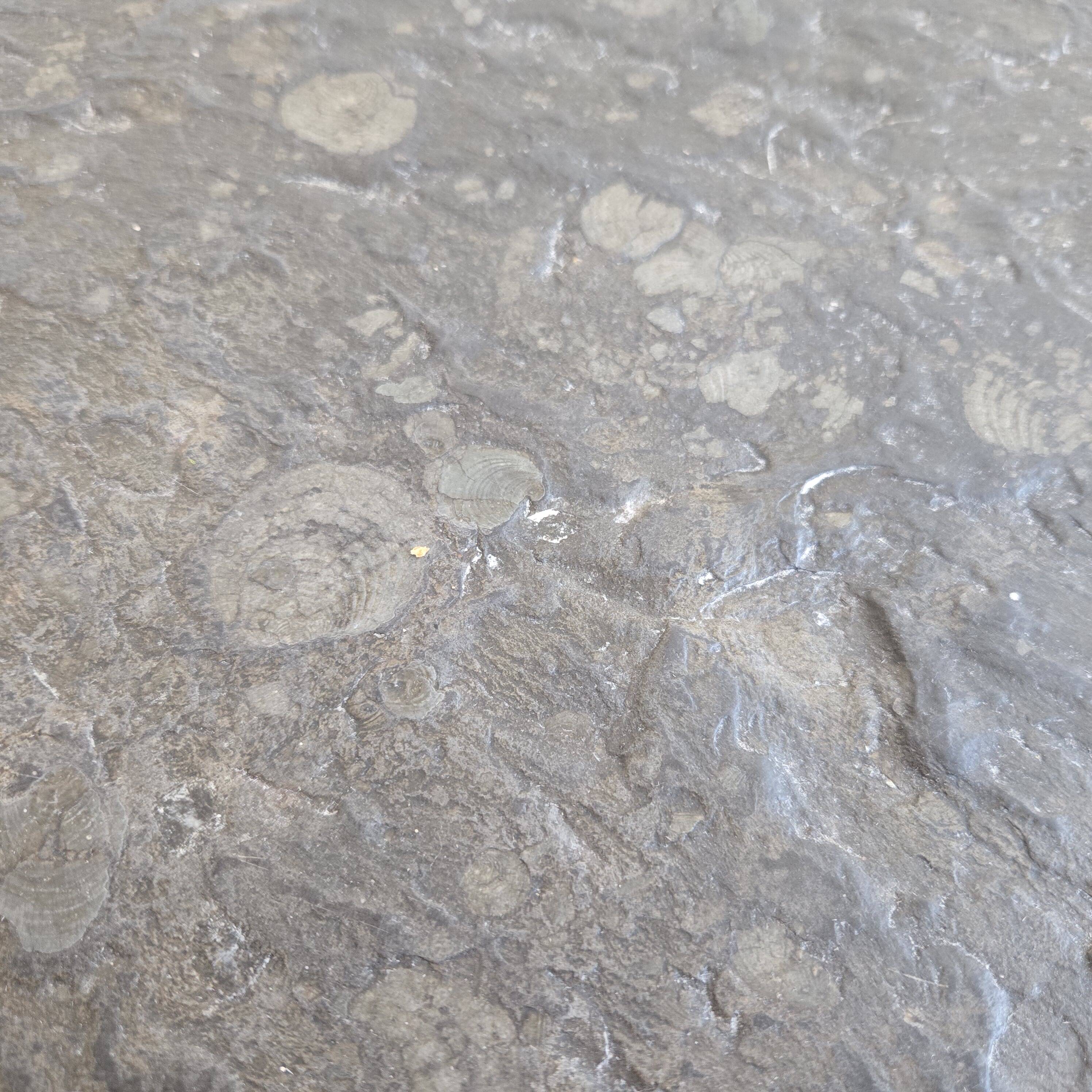 1960s Scandinavian coffee table in teak and schist