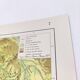 North Pole Arctic Ocean Greenland Iceland vintage map from 1950