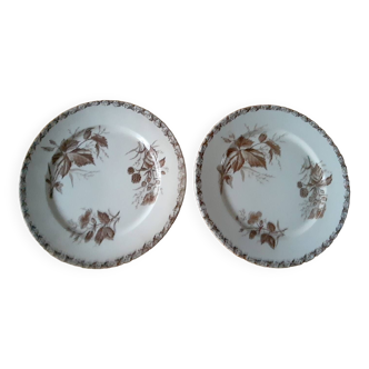 Badonvillers plates