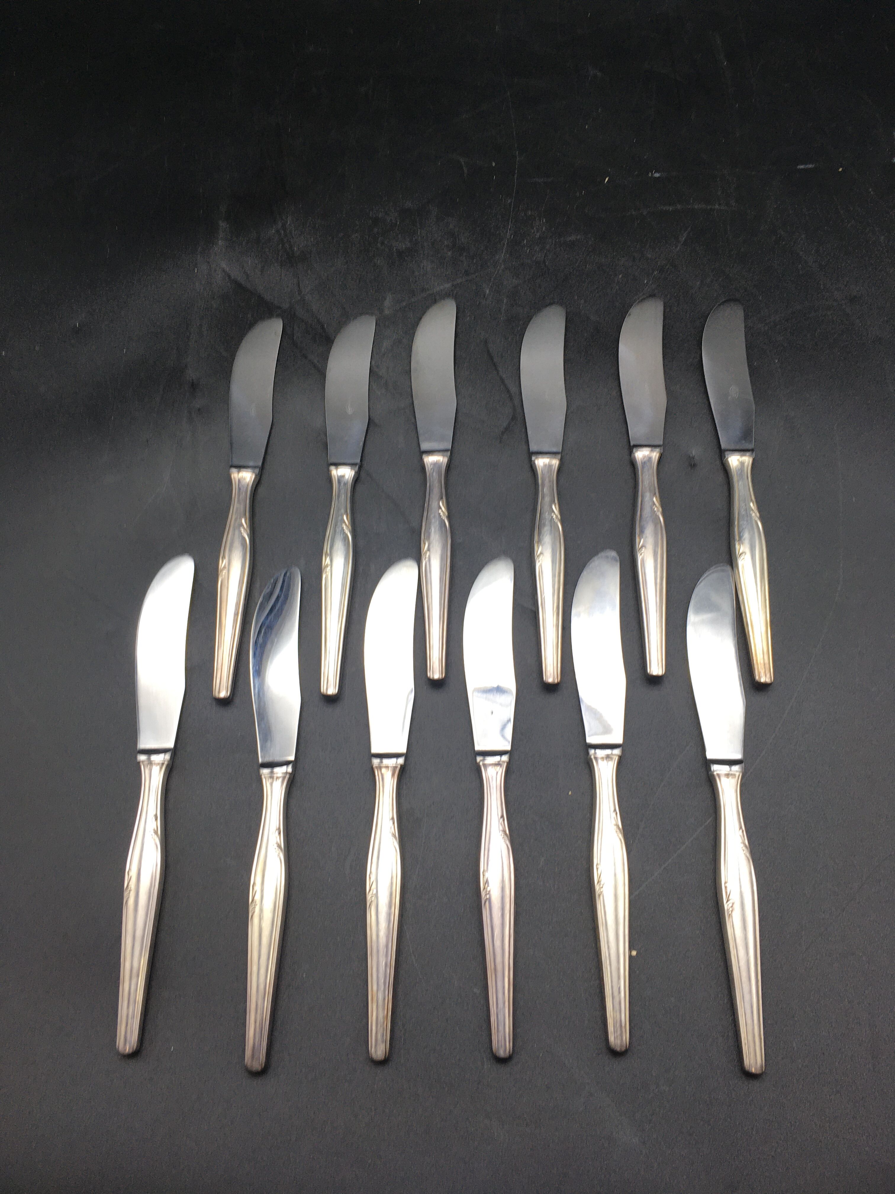 12 silver metal knives