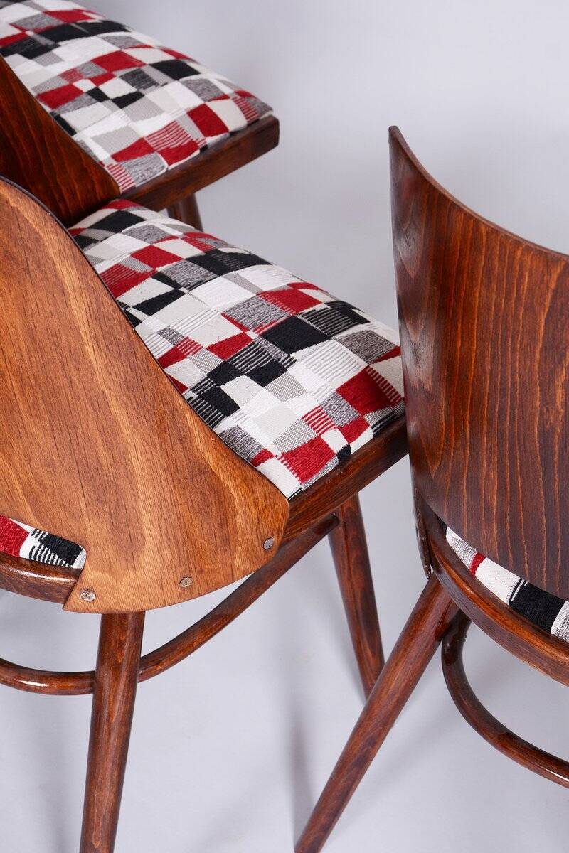 Mid-Century Chairs in Beech by Oswald Haerdtl, 1950s, Set of 6