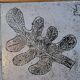 Jacques Blin coffee table in glazed ceramic, oak wood French Riviera 1960 Vintage