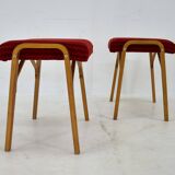 1960s Ludvik Volak beech stools by Drevopodnik Holesov, Czechoslovakia