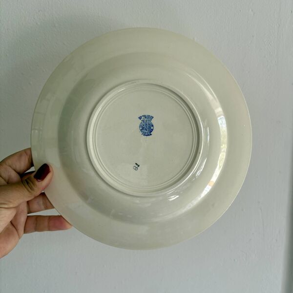 Lot de 12 assiettes creuses anciennes dépareillées