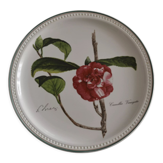 Villeroy and Boch Camellia plate