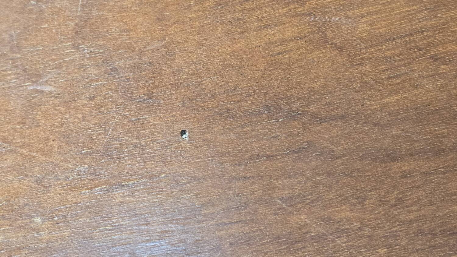 Table basse du milieu du siècle