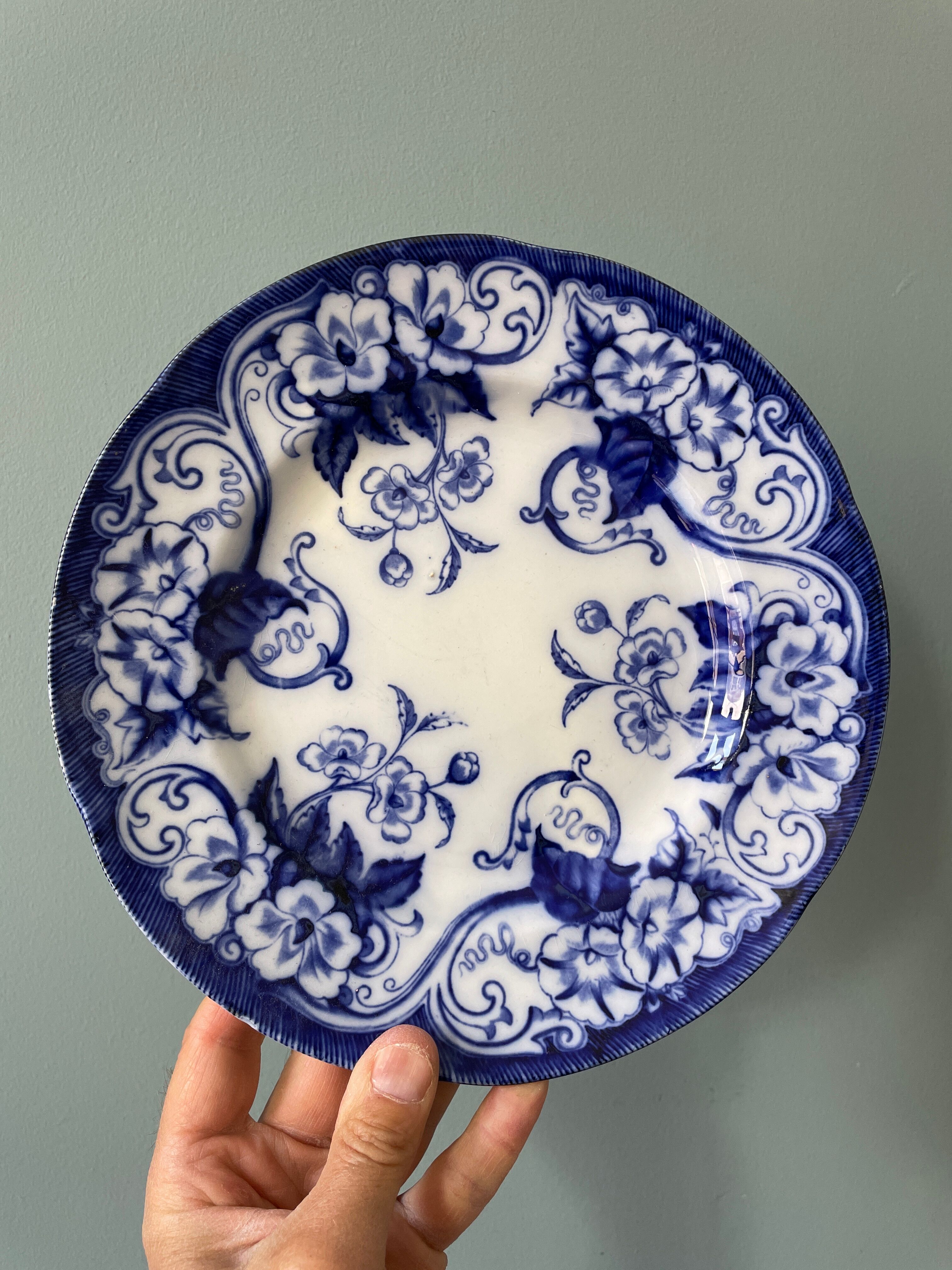 Set of 4 flat plates Creil and Montereau, Flora model