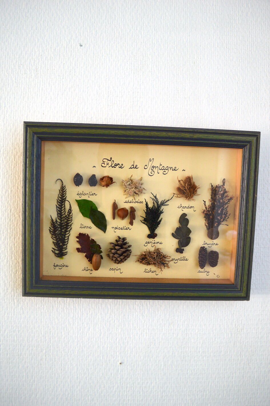 Vintage painting of dried flowers