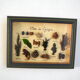 Vintage painting of dried flowers