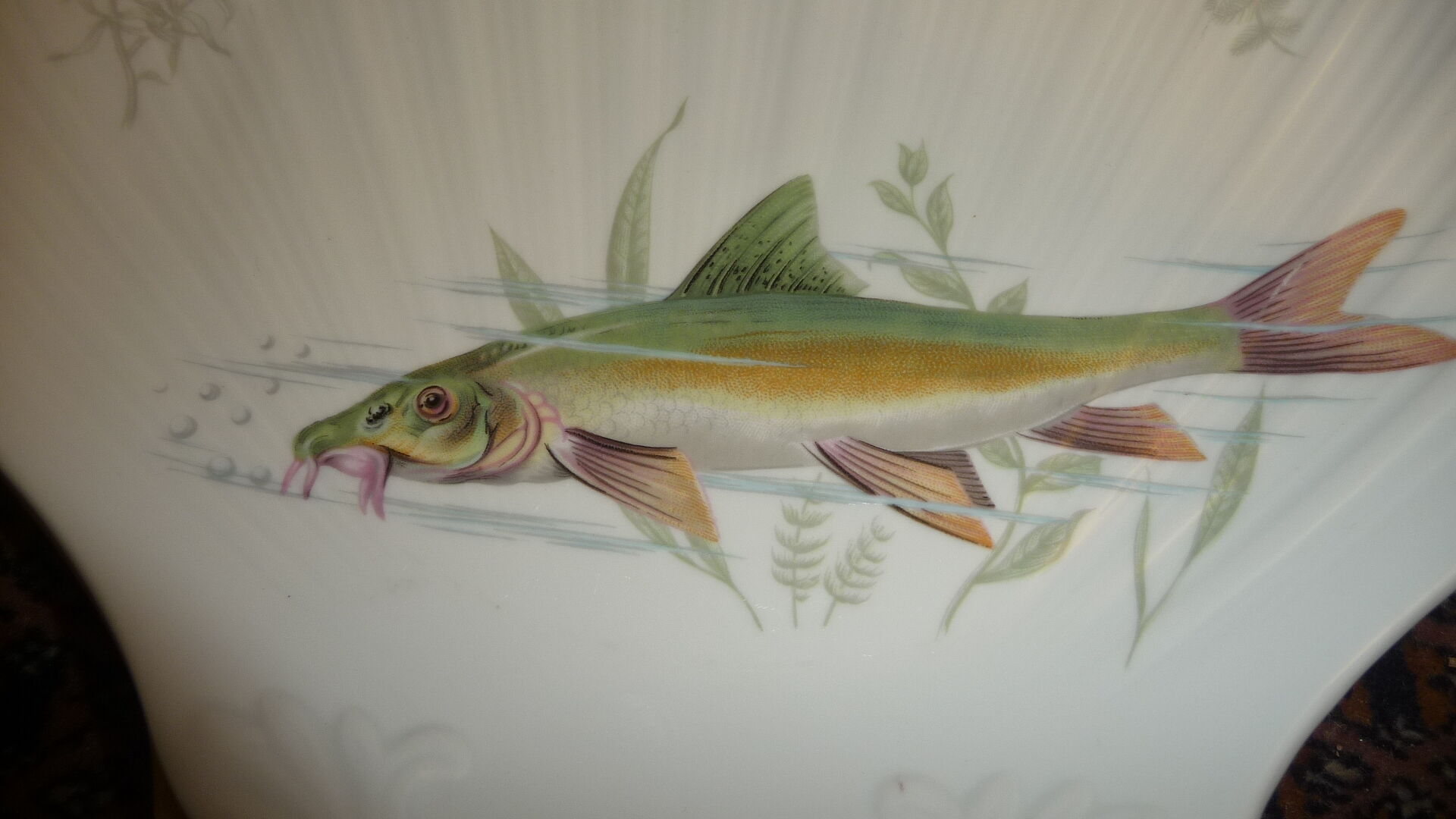 12 covered fish service