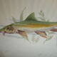 12 covered fish service