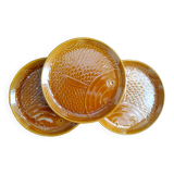 3 plates poissson amber