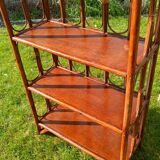 Shelves, rattan bookshelf