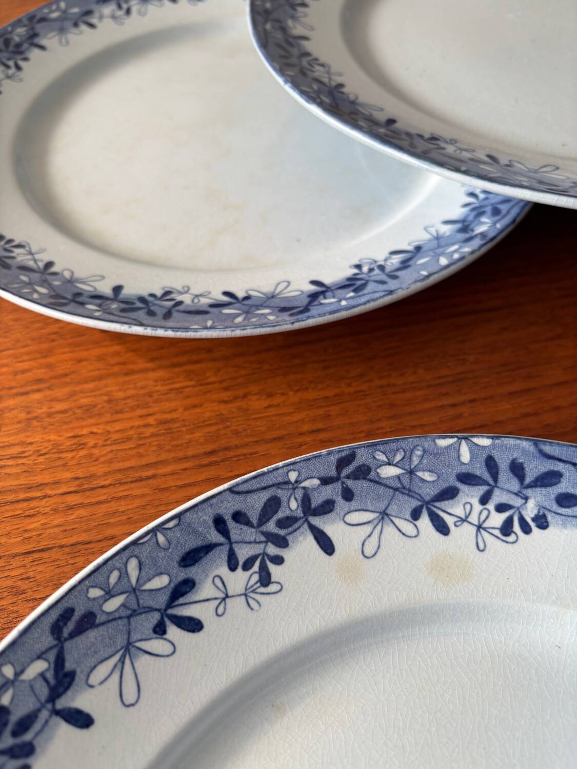 Set of 6 mimosa plates from Sarreguemines, old blue earthenware