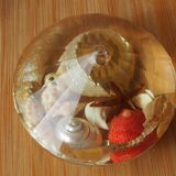 Resin clipboard with inclusion of shells, diamond-shaped