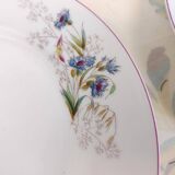 6 Assiettes en porcelaine fleurs