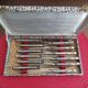 Set of 12 small knives in silver metal and stainless steel from the Ravinet d'Enfer Paris brand