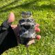 Vintage table lighter in black marble and brass