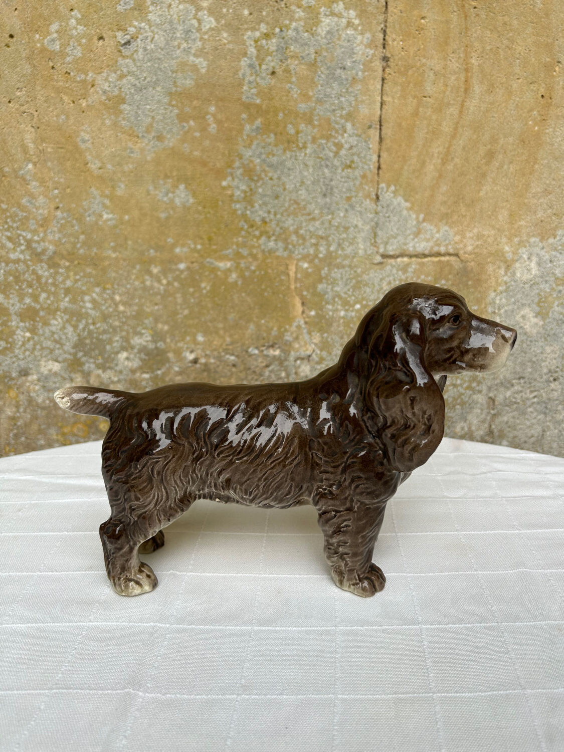 Ceramic spaniel dog
