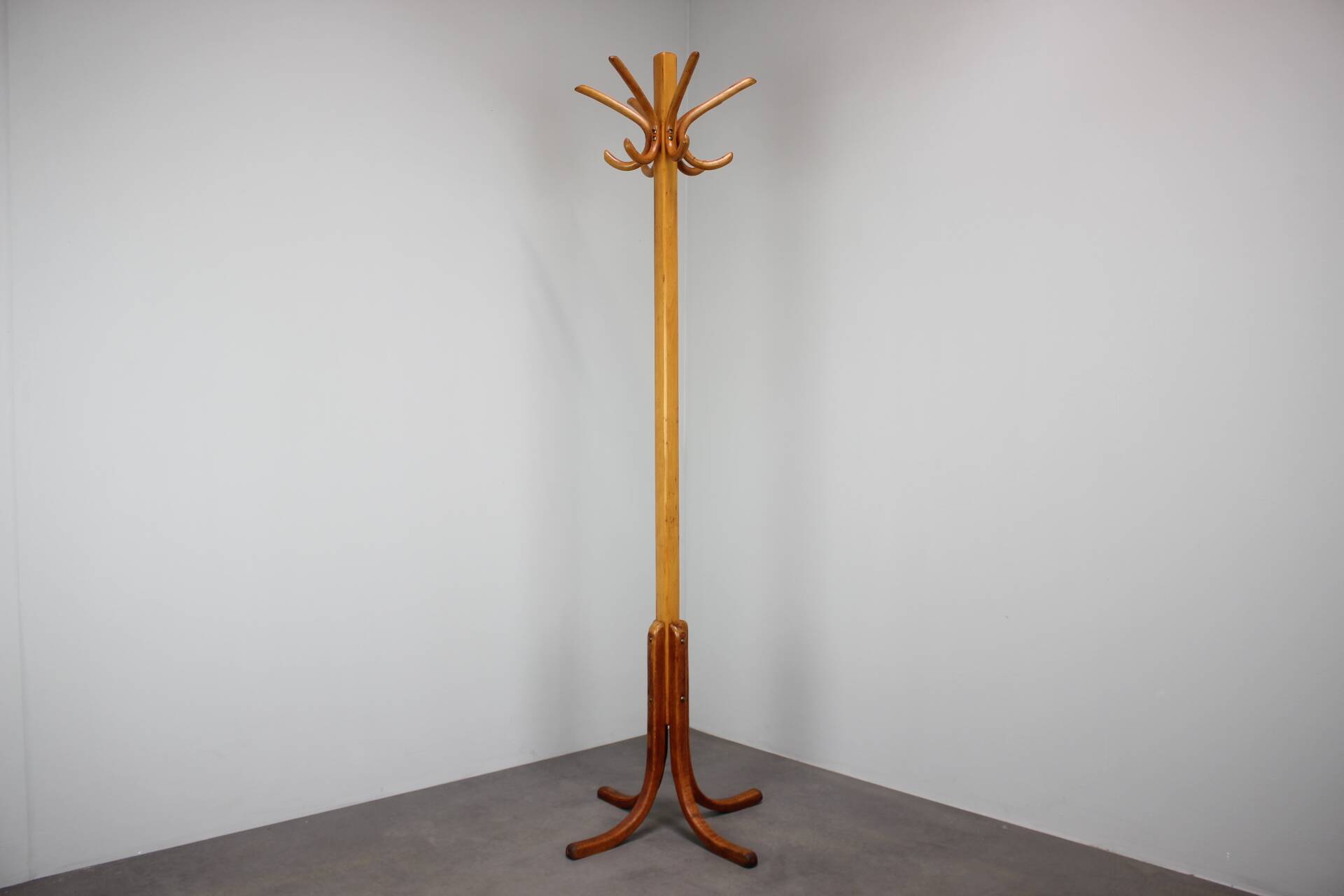 Vintage coat rack in the shape of a parrot in Bentwood - Thonet style - Early 20th century