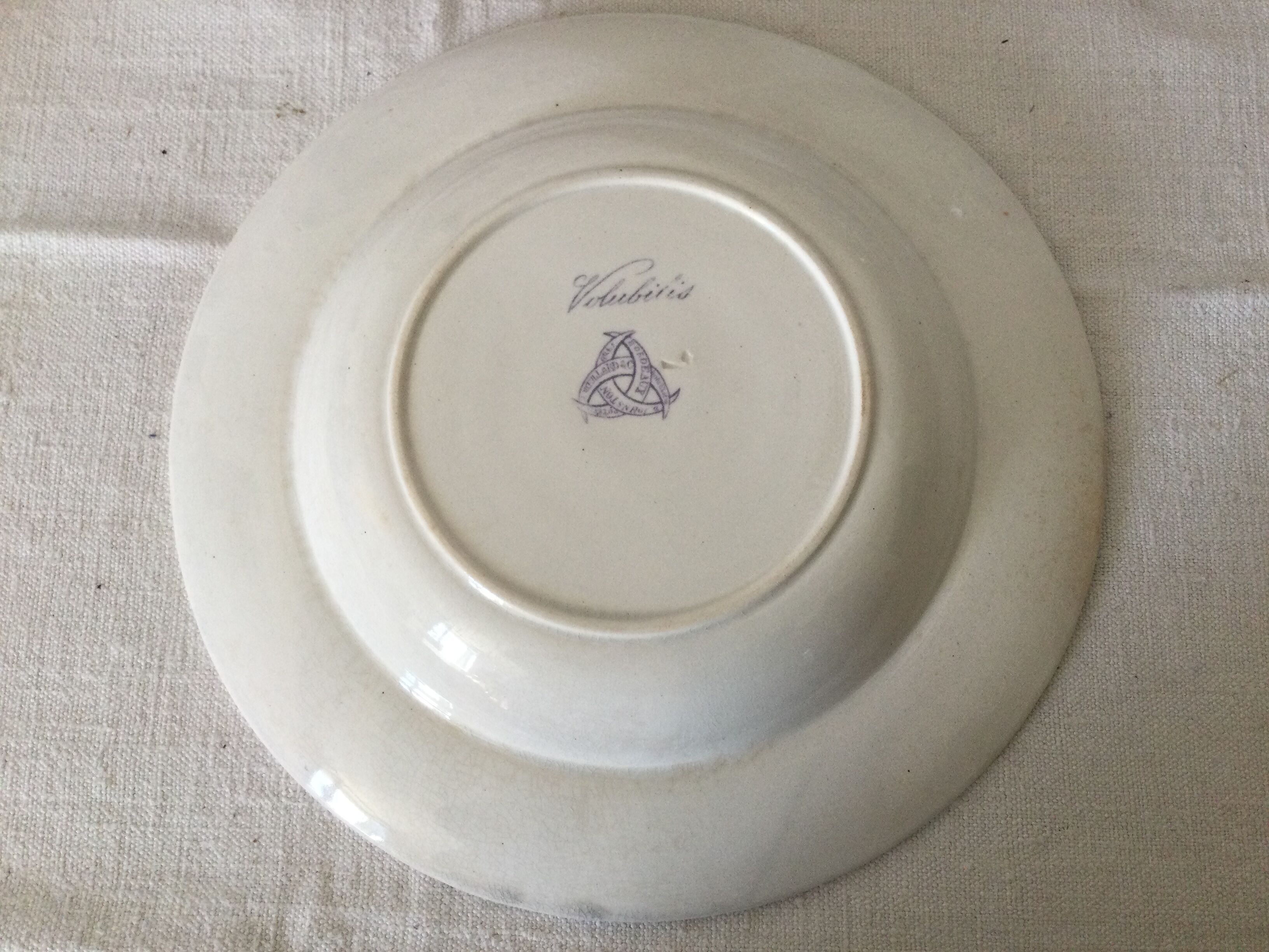 Volubilis Jules Vieillard Bordeaux model plates