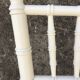 White wooden chairs