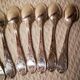 Set 11 dessert spoons in silver metal
