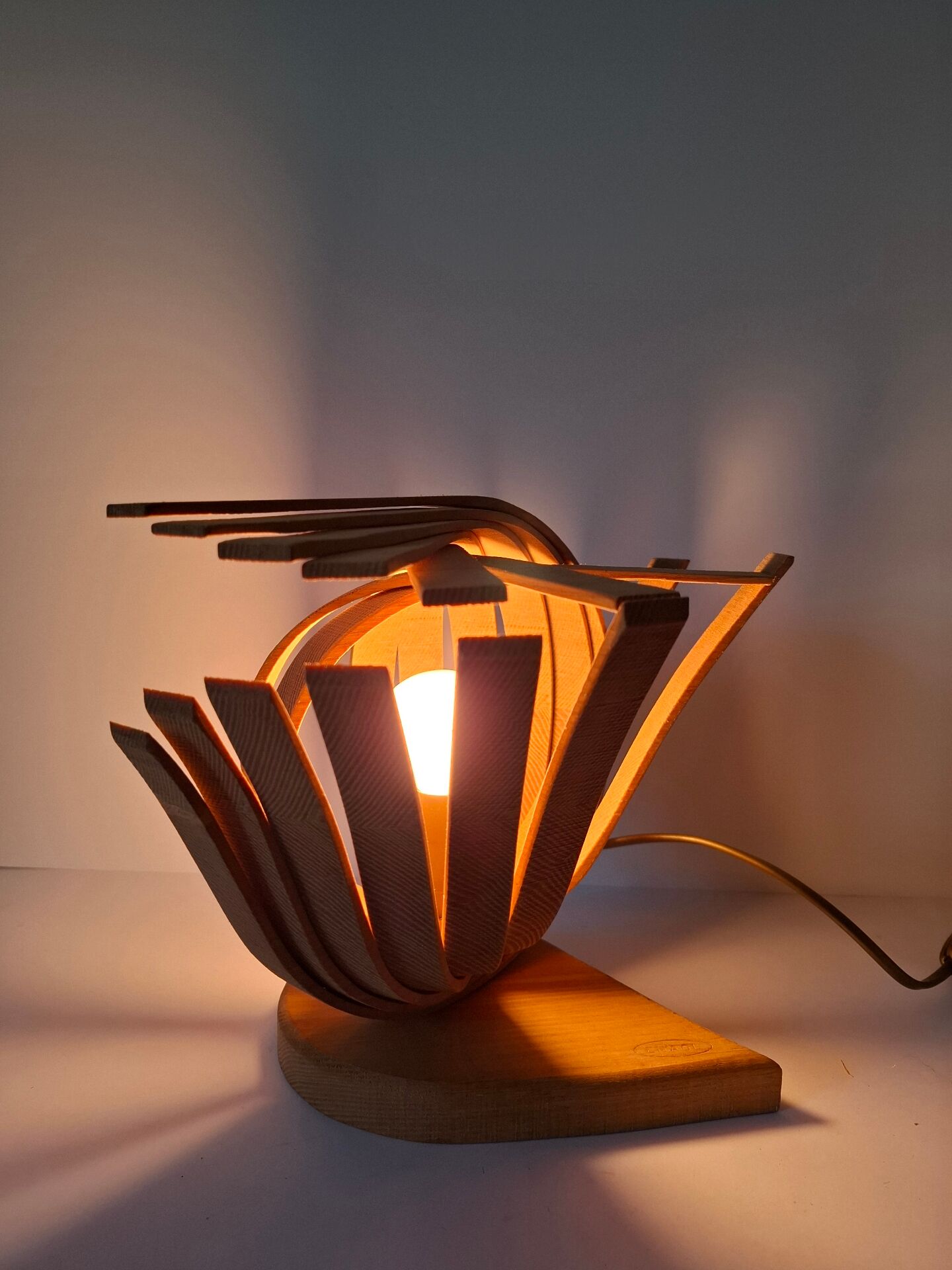 Ash lamp enaol