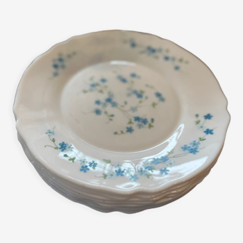 10 flat plates arcopal Forget-me-not