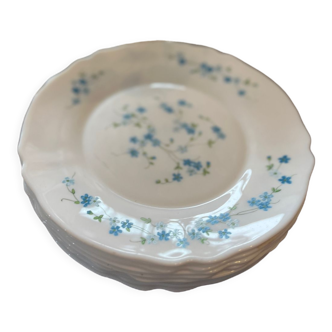 10 assiettes plates arcopal Myosotis