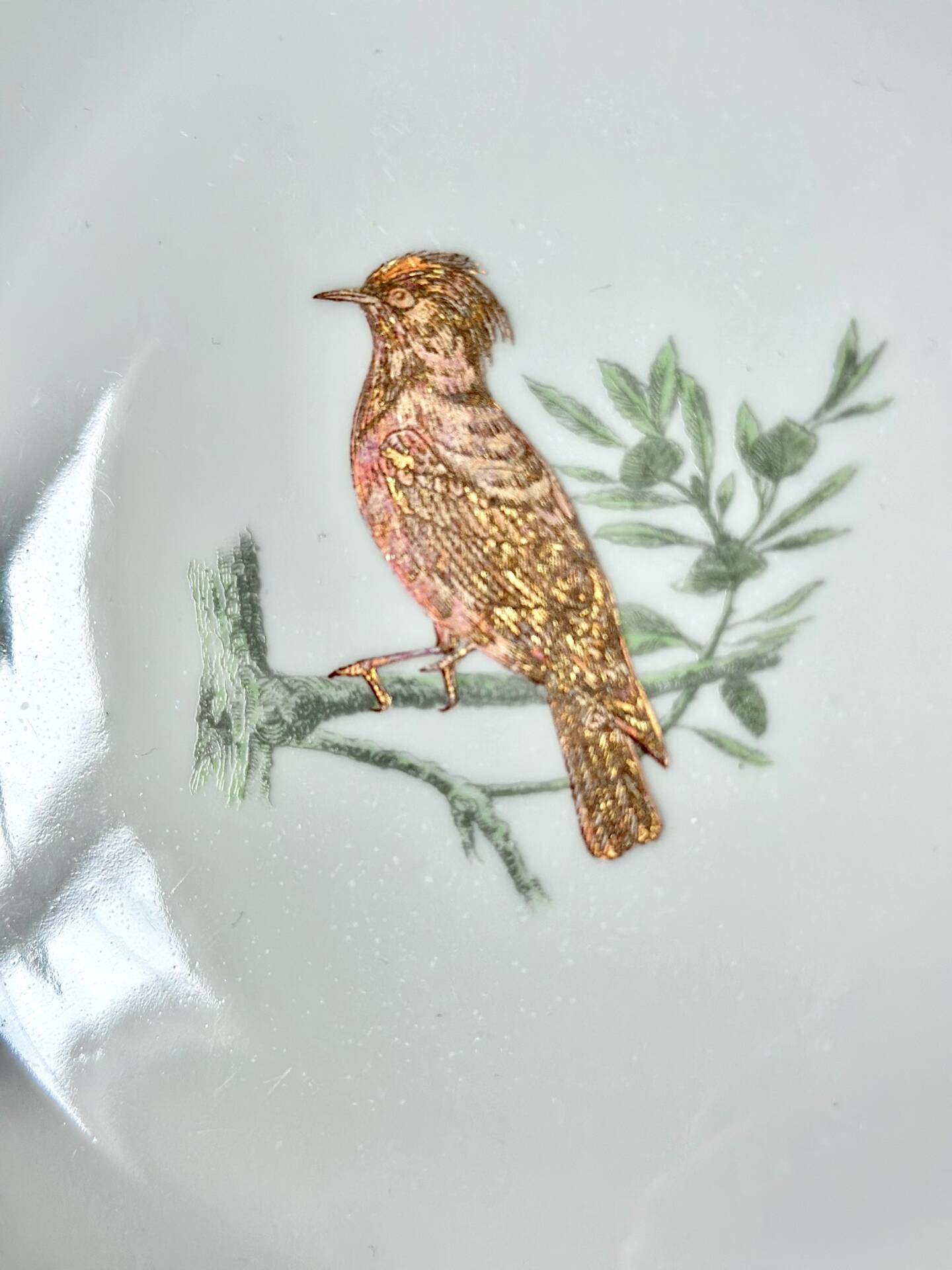 Service Bernardaud Les oiseaux d’or