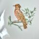 Service Bernardaud Les oiseaux d’or