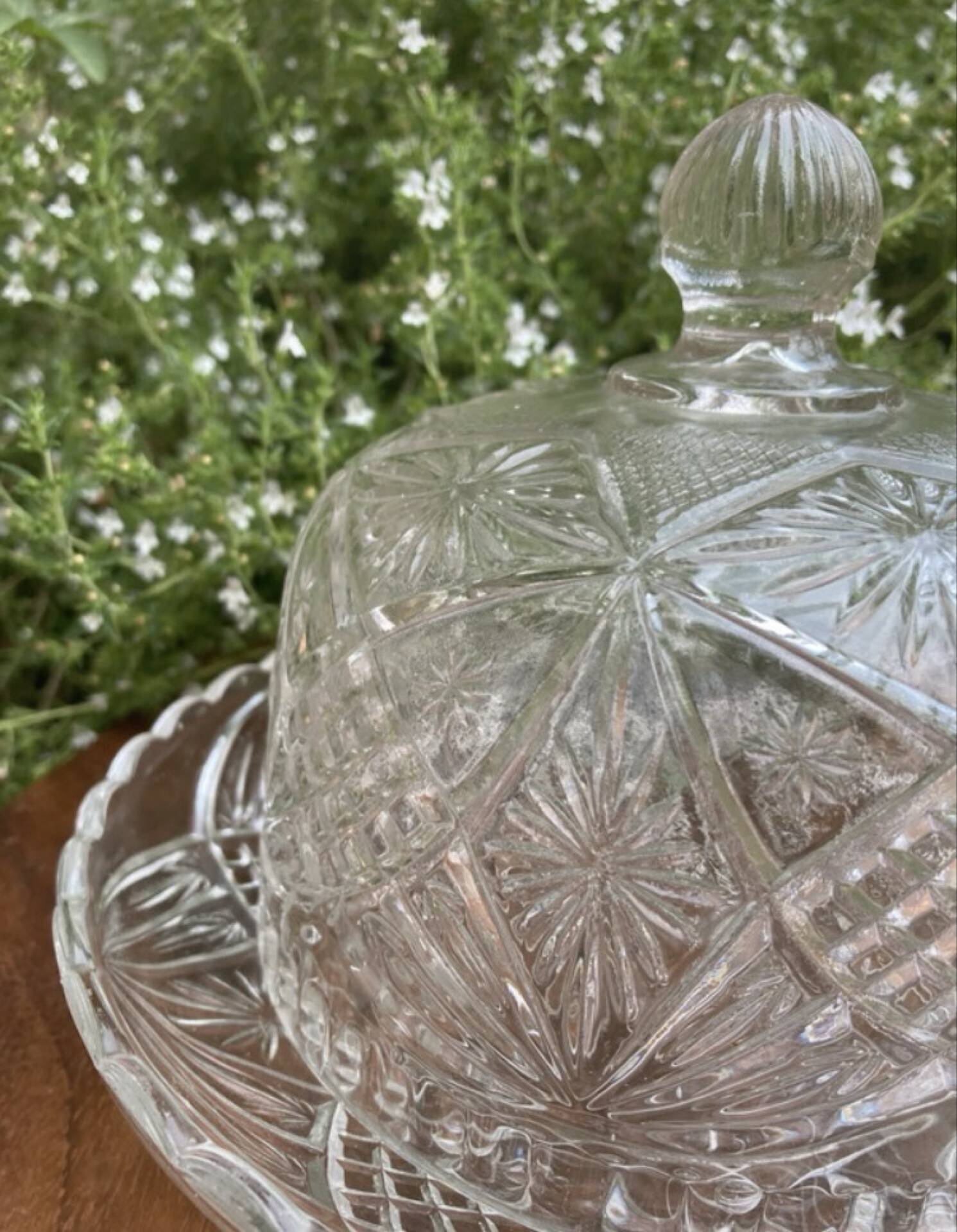 Pressed and moulded glass cheese dome