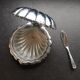 Beurrier seashell