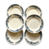 6 assiettes plates Terre de Fer Salins